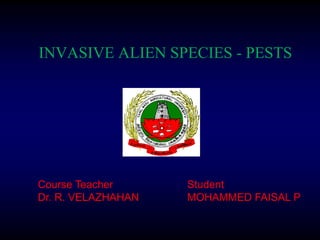 INVASIVE ALIEN SPECIES - PESTS
Course Teacher
Dr. R. VELAZHAHAN
Student
MOHAMMED FAISAL P
 