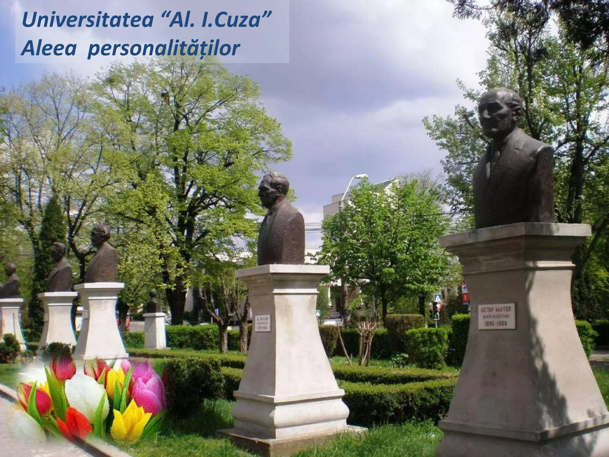 Universitatea  “Al. I.Cuza” Aleea  personalit ăţ ilor 