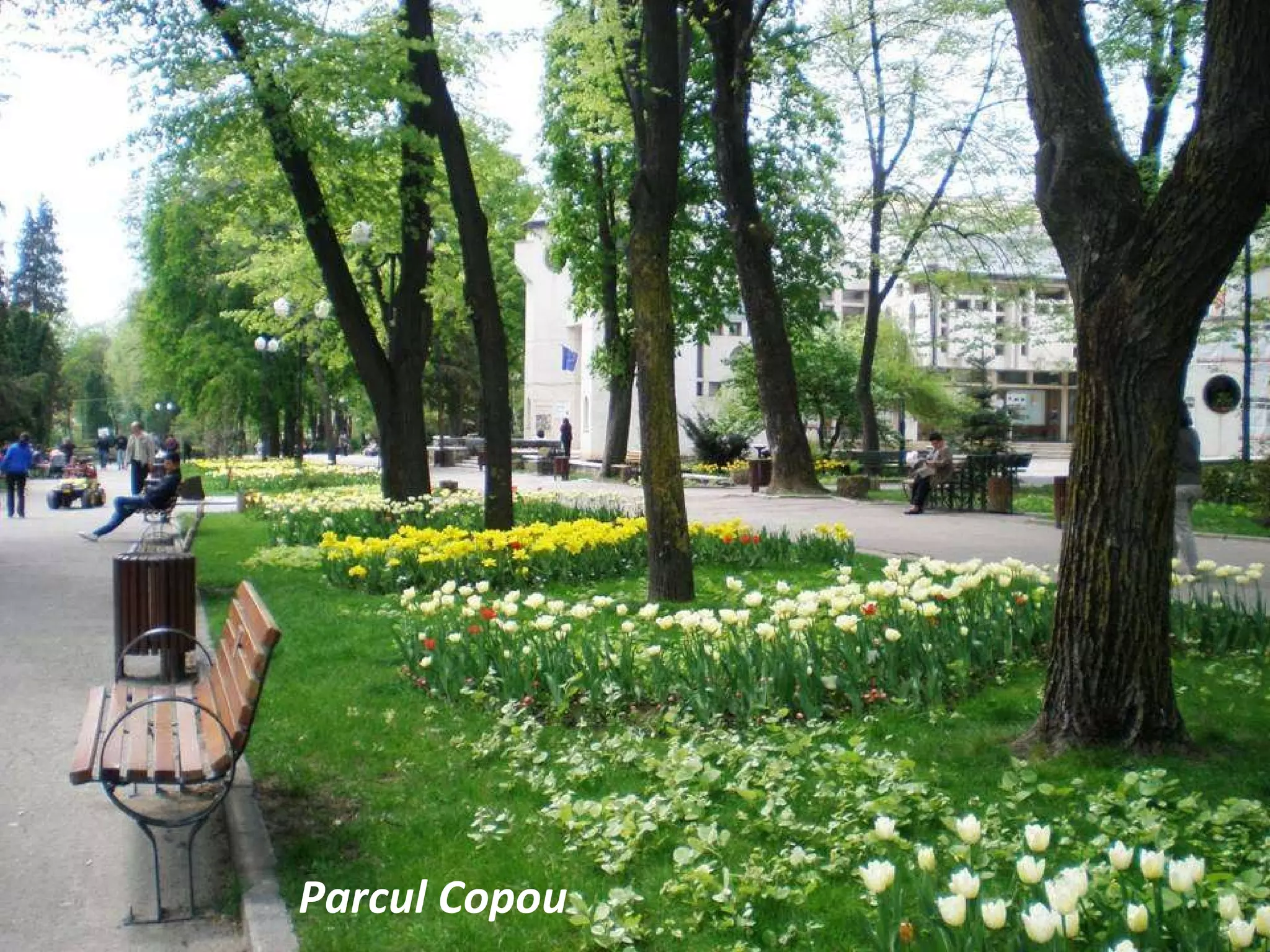 Parcul Copou 