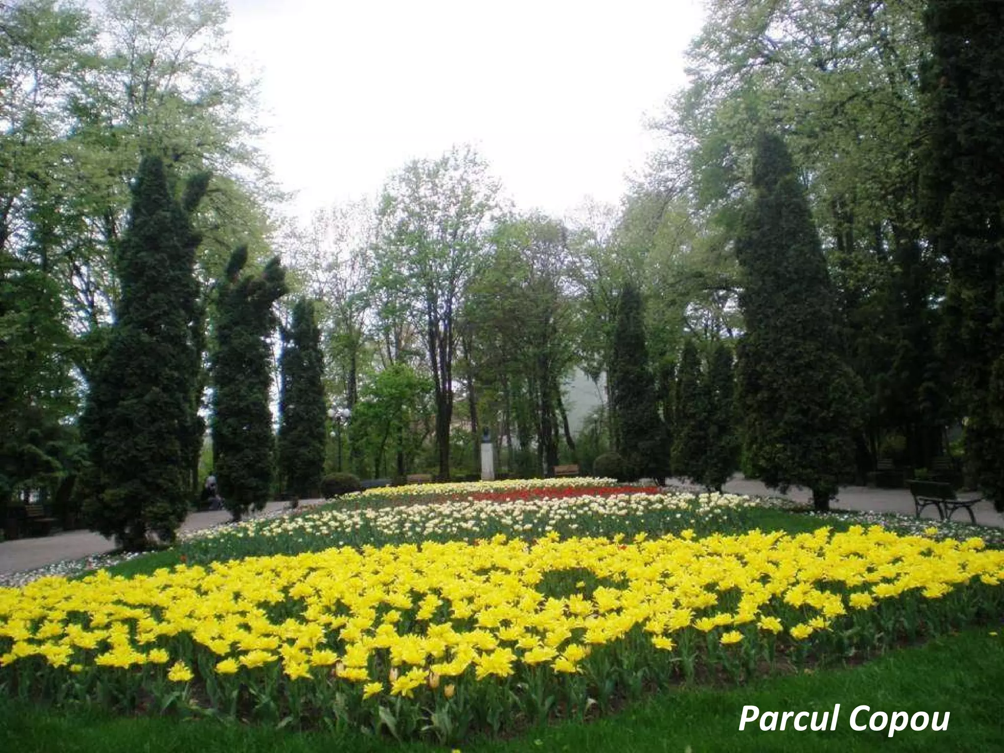 Parcul Copou 