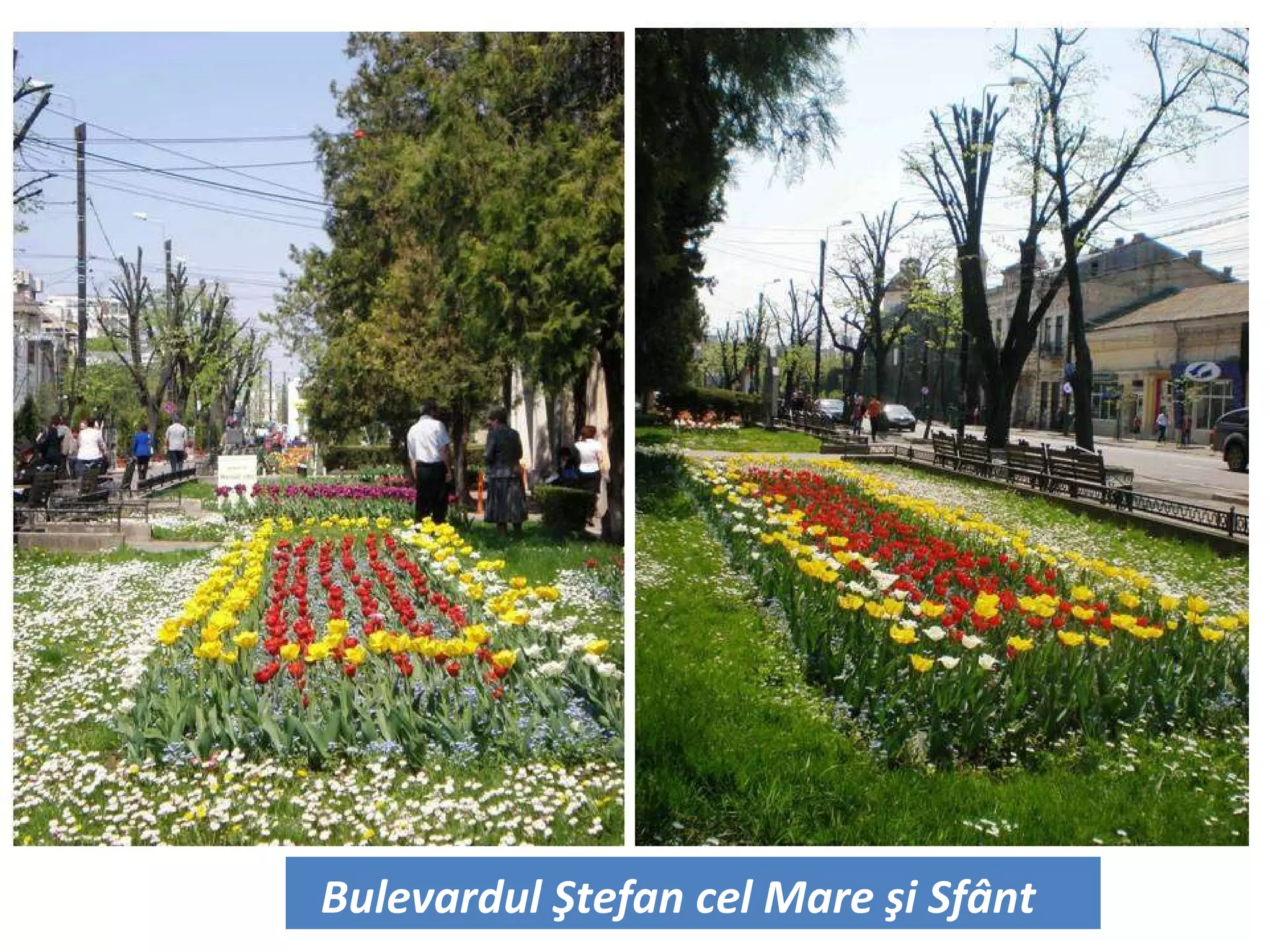 Bulevardul Ştefan cel Mare şi Sfânt 