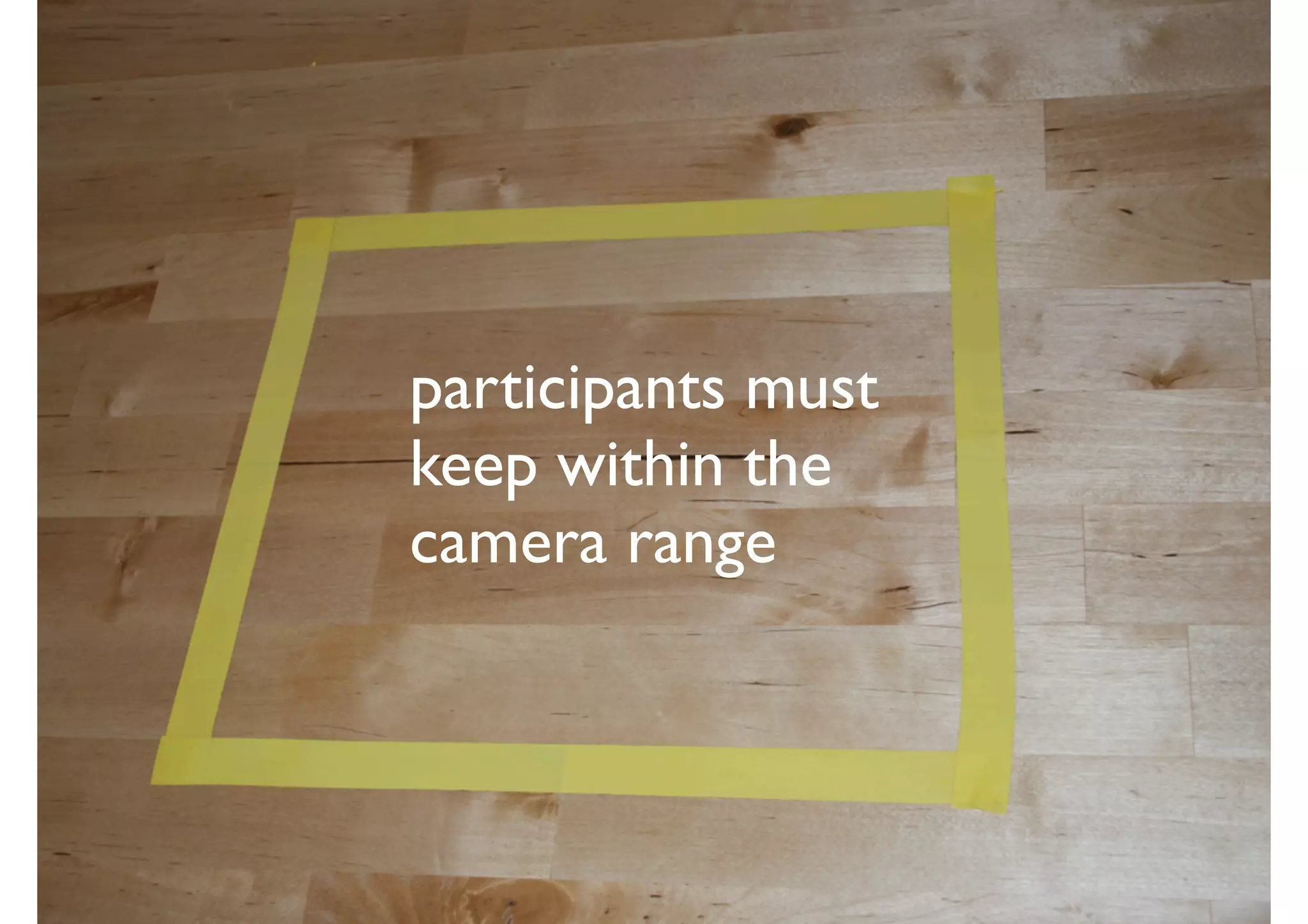 participants must
keep within the
camera range
 