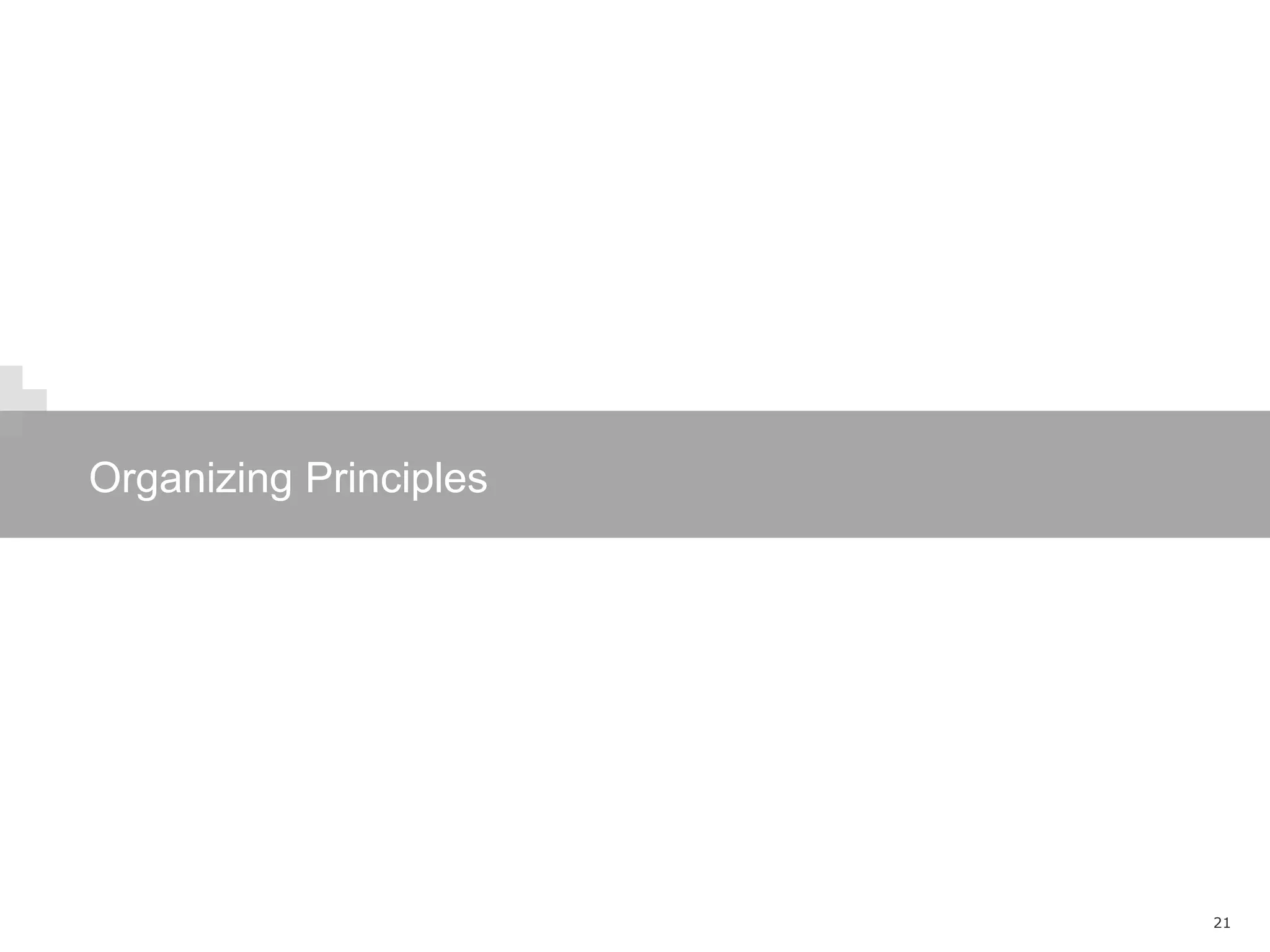 Organizing Principles