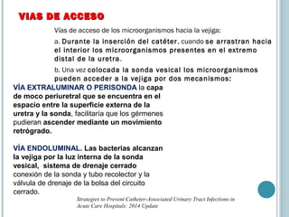 Vías de acceso de los microorganismos hacia la vejiga:
a. Durante la inserción del catéter, cuando se arrastran hacia
el interior los microorganismos presentes en el extremo
distal de la uretra.
b. Una vez colocada la sonda vesical los microorganismos
pueden acceder a la vejiga por dos mecanismos:
VIAS DE ACCESOVIAS DE ACCESO
Strategies to Prevent Catheter-Associated Urinary Tract Infections in
Acute Care Hospitals: 2014 Update
VÍA EXTRALUMINAR O PERISONDA la capa
de moco periuretral que se encuentra en el
espacio entre la superficie externa de la
uretra y la sonda, facilitaría que los gérmenes
pudieran ascender mediante un movimiento
retrógrado.
VÍA ENDOLUMINAL. Las bacterias alcanzan
la vejiga por la luz interna de la sonda
vesical, sistema de drenaje cerrado
conexión de la sonda y tubo recolector y la
válvula de drenaje de la bolsa del circuito
cerrado.
 