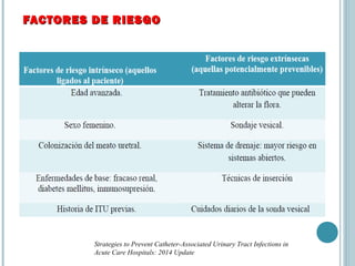 FACTORES DE RIESGOFACTORES DE RIESGO
Strategies to Prevent Catheter-Associated Urinary Tract Infections in
Acute Care Hospitals: 2014 Update
 