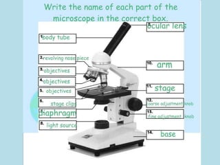 IATEFL / British Council Milan 09