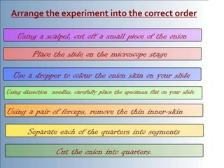 IATEFL / British Council Milan 09