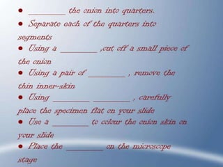 IATEFL / British Council Milan 09