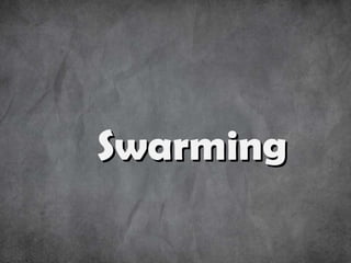 Swarming 