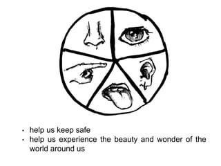 • help us keep safe
• help us experience the beauty and wonder of the
world around us
 
