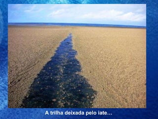 A trilha deixada pelo iate… 