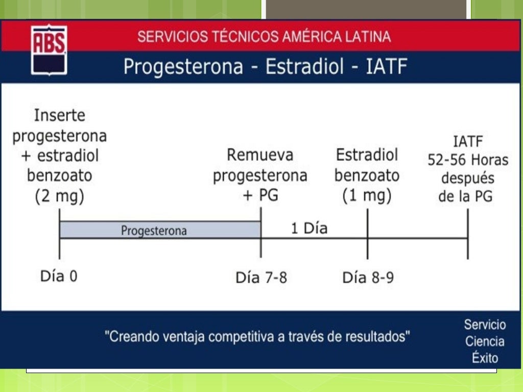 Iatf iatf
