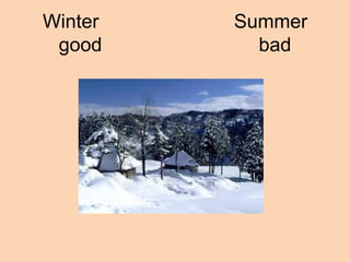 Winter   Summer
 good      bad
 