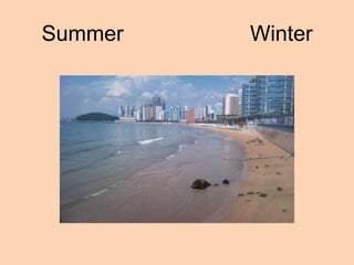Summer   Winter
 