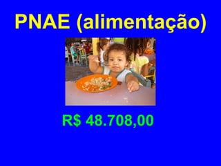 PNAE (alimentação)



    R$ 48.708,00
 