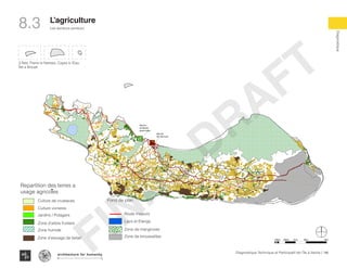 146Diagnostique Technique et Participatif de l’Île à Vache |
Les secteurs porteurs
Typography
architecture for humanity
architecture for humanity
architecture for humanity
Diagnostique
L’agriculture
Marche
Mm Bernard
Marche
de Betails
grand sable
he
ernard
3 Îlets: Pierre le Nantais, Cayes à l’Eau,
Îlet a Brouet
8.3
Marche
Mm Bernard
Marche
de Betails
grand sable
Le Grand Bay De Cayes
Legend
Crab Catching zone
Vivrier
Legumes
TreesWetlands
Residential use
Leisure
lakes
Mangrooves
Brousaille
Le Grand Bay De Cayes
Legend
Crab Catching zone
Vivrier
Legumes
TreesWetlands
Residential use
Leisure
lakes
Mangrooves
Brousaille
Le Grand B
Legend
Crab Catching zone
Vivrier
Legumes
TreesWetlands
Residential use
Leisure
lakes
Mangrooves
Brousaille
Le Grand Bay De Cayes
Legend
Crab Catching zone
Vivrier
Legumes
TreesWetlands
Residential use
Leisure
lakes
Mangrooves
Brousaille
Culture vivrieres
Jardins / Potagers
Zone d’arbre fruitiers
Zone humide
Route majeurs
Lacs et Etangs
Zone de mangroves
Zone d’elevage de betail Zone de broussailles
Culture de crustaces
Repartition des terres a
usage agricoles
Le Grand Bay De Cayes
Legend
Crab Catching zone
Vivrier
Legumes
TreesWetlands
Residential use
Leisure
lakes
Mangrooves
Brousaille
Fond de plan
100m 500m 1km 4km2km
FINAL
DRAFT
 
