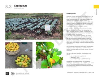 148Diagnostique Technique et Participatif de l’Île à Vache |
Les secteurs porteurs
Typography
architecture for humanity
architecture for humanity
architecture for humanity
Diagnostique
L’agriculture
8.3
Les Mangroves
Située au long du littorales et dans l’embaucherie de
l’ile ces élément naturelle sont extrêmes important
pour l’écosystème de l’ile. Les mangroves sont des
arbres qui poussent dans de l’eau salée.
Ces éléments de mangrove occupait plus 30% de la
superficie total de l’Ile-à-vache mais est maintenant
en régression face à la pression de la population qui
la coupe pour en fair du charbon de bois.
Elle constitue un paysage très particulier dans les
plaines littorales. Cet arbuste sert de barrage qui
freine l’avancée des eaux salées, en particulier lors
des tempêtes. Elle constitue aussi un habitat pour les
crustacés et pour les poissons.
C’est aussi un écosystème complexe peu connu
par nos élites intellectuelles. De ce fait il existe très
peu de documentation sur les différents types de
mangliers. Cependant de nombreux jeunes cadres
haïtiens ont déjà identifié la mangrove la zone rouge
intouchable qu’on devrait protéger comme patrimoine
de la Caraïbe.
les racines sont entrelacées et facilitent l’alimentation
et la reproduction des animaux marins, meme les
oiseaux utilise la mangrove pour se reposer et meme
se nourire.
Sur l’Ile-à-vache on rencontre trois types de man-
groves:
•	 Le manglier noir ou palétuvier
•	 Mangliers blanc
•	 Le manglier rouge ou palétuvier rouge
Le manglier noir, supporte bien les inondations
prolongées et remonte plus loin à l’intérieur des terres
que les autres plantes aquatiques. De nombreux
pneumatophores s’élèvent verticalement à partir des
racines horizontales.
Photo :Arbre de Raisin de mer
Photo :Jardin potagier a ile a vache
Photo :Panier de mangues
FINAL
DRAFT
 