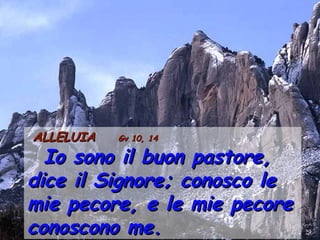 ALLELUIAALLELUIA Gv 10, 14Gv 10, 14
Io sono il buon pastore,Io sono il buon pastore,
dice il Signore; conosco ledice il Signore; conosco le
mie pecore, e le mie pecoremie pecore, e le mie pecore
conoscono me.conoscono me.
 