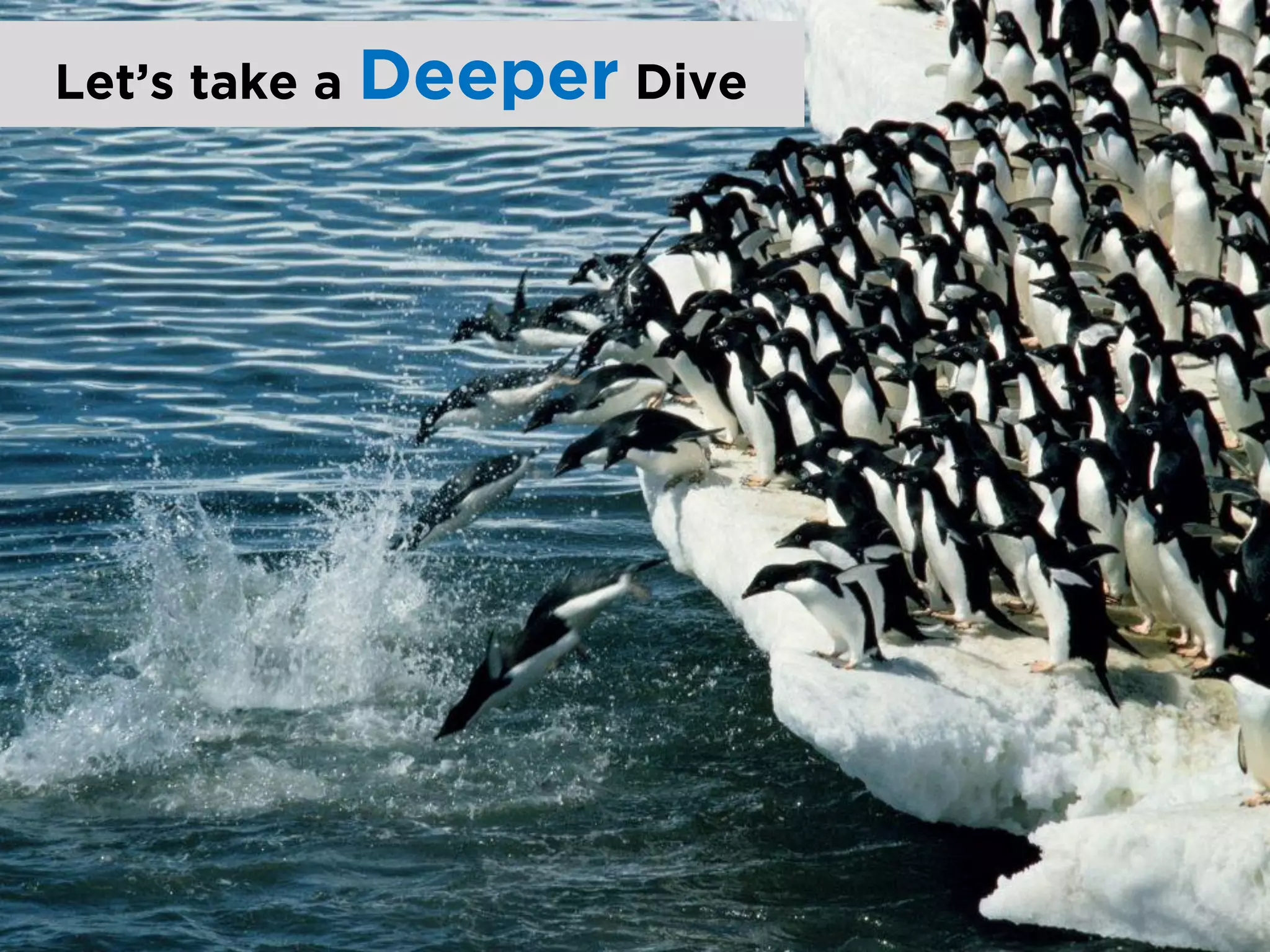 Let’s take a   Deeper Dive
 