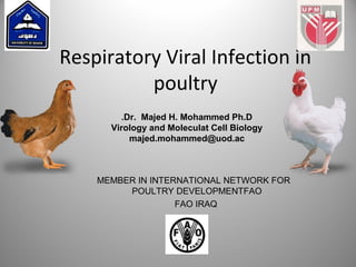 Respiratory Viral Infection in
poultry
MEMBER IN INTERNATIONAL NETWORK FOR
POULTRY DEVELOPMENTFAO
FAO IRAQ
Dr. Majed H. Mohammed Ph.D.
Virology and Moleculat Cell Biology
majed.mohammed@uod.ac
 