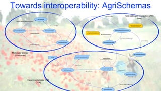 Towards interoperability: AgriSchemas
Experimental data (EBI
GXA)
Molecular biology
(Knetminer)
Host-pathogen interaction (PHI-
Base)
 