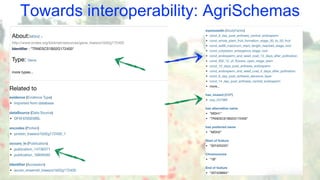 Towards interoperability: AgriSchemas
Knetminer Info
GXA Info
 