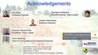 Acknowledgements
Ajit Singh
Software Engineer
• Alice Minotto, Earlham Inst, hosting providers
• Monika Mistry, master Student, Data Curator
• William Brown, IT admin
• Madhu Donepudi, Richard Holland, ext contractors, developers
Keywan Hassani-Pak
KnetMiner Team Leader
Chris Rawlings
Head of Computational & Analytical Sciences
Joseph Hearnshaw
Software Engineer
Sandeep Amberkar
Bioinformatician, Data curator
 