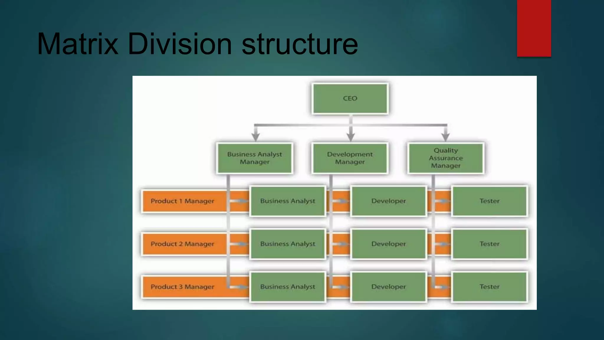 Matrix Division structure
 