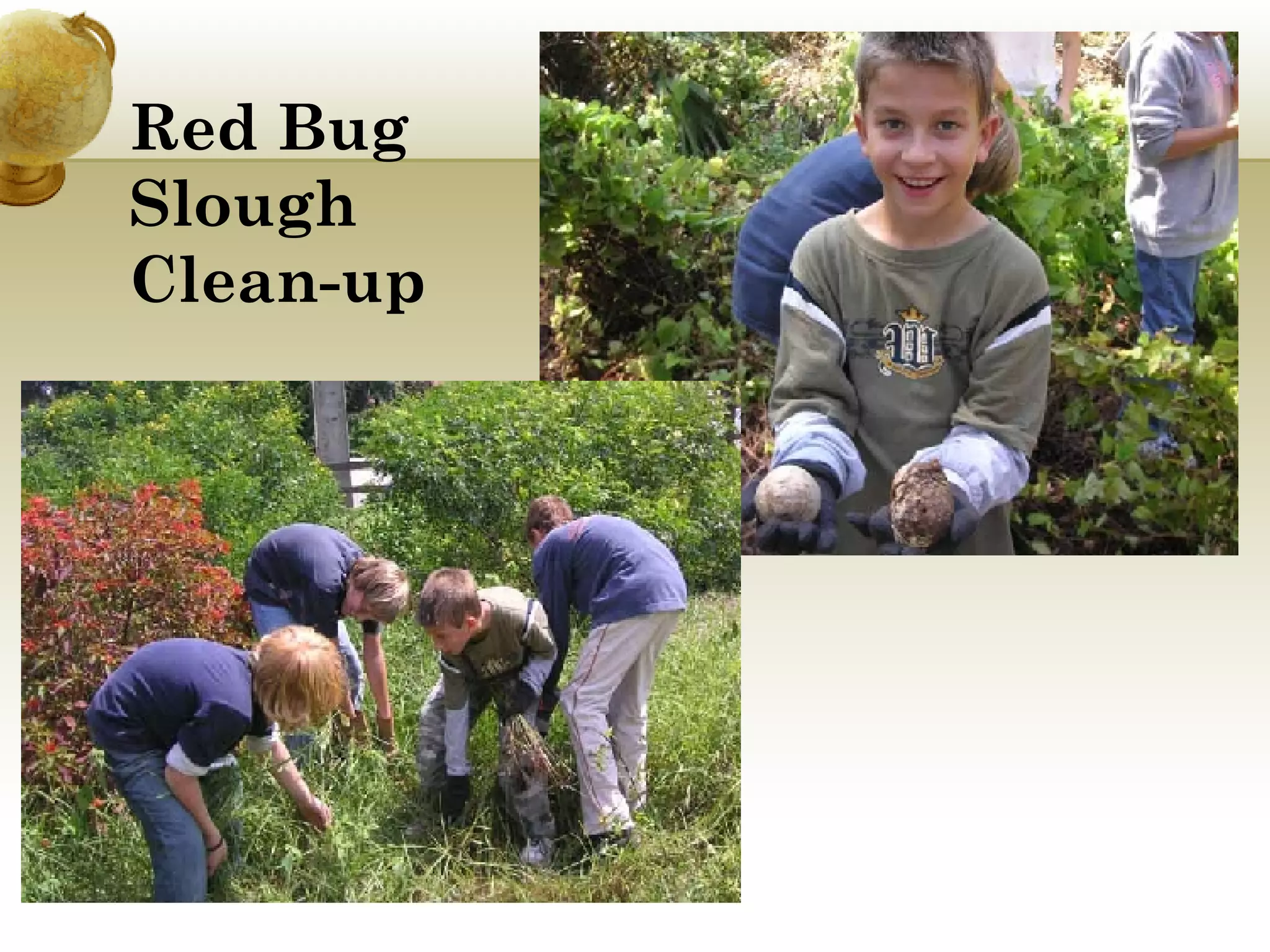 Red Bug Slough  Clean-up 