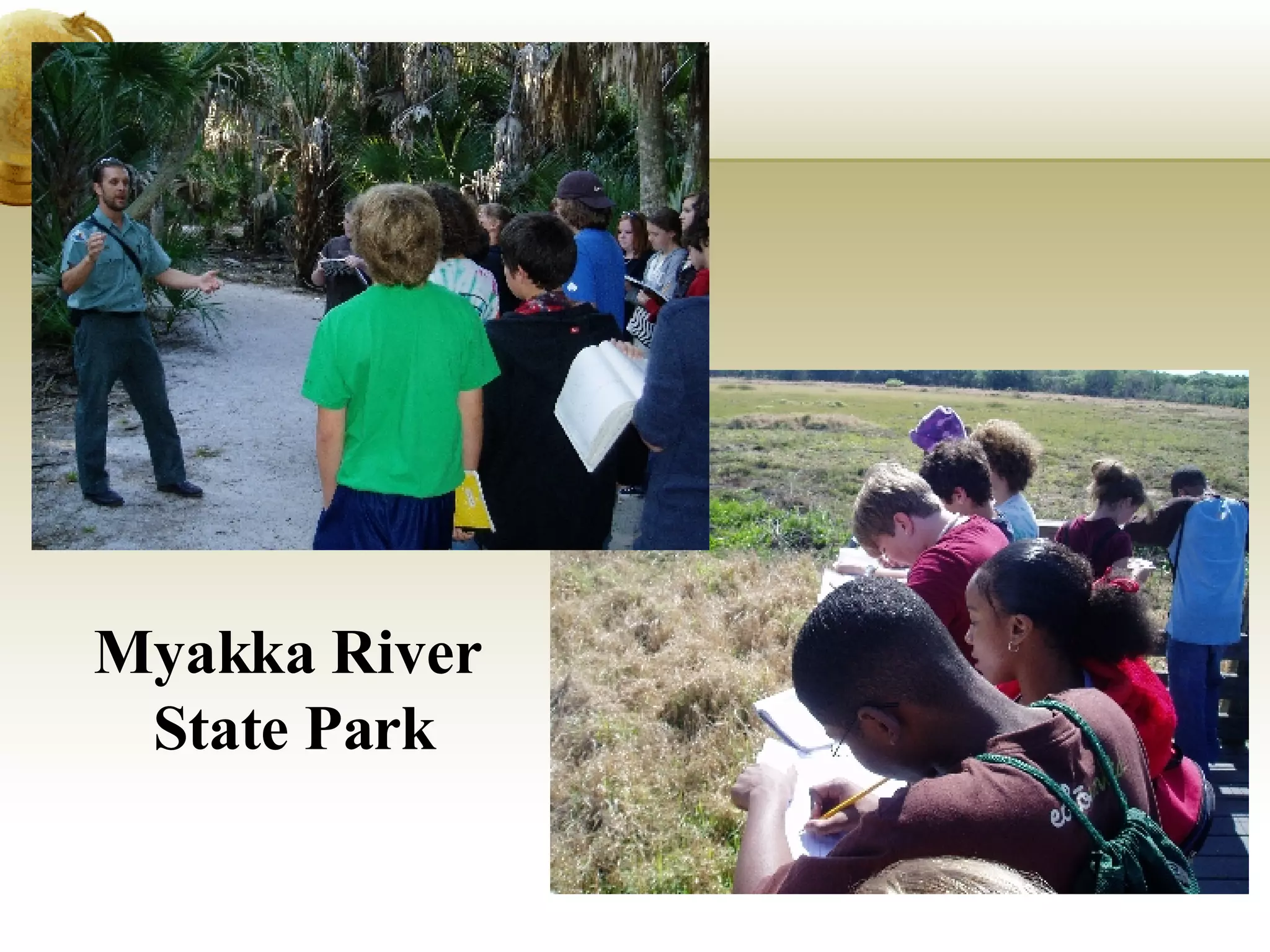 Myakka River  State Park 