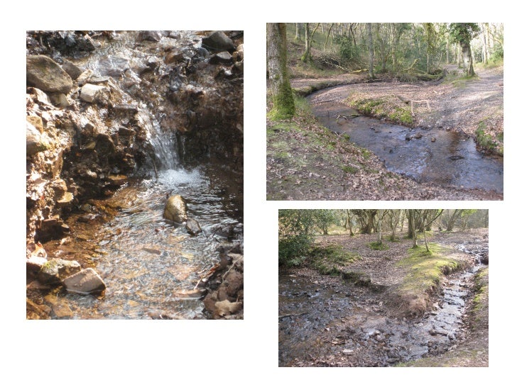 River holford coursework 08 picture