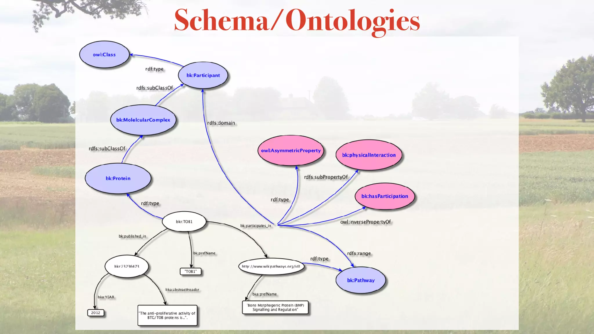 Schema/Ontologies
 
