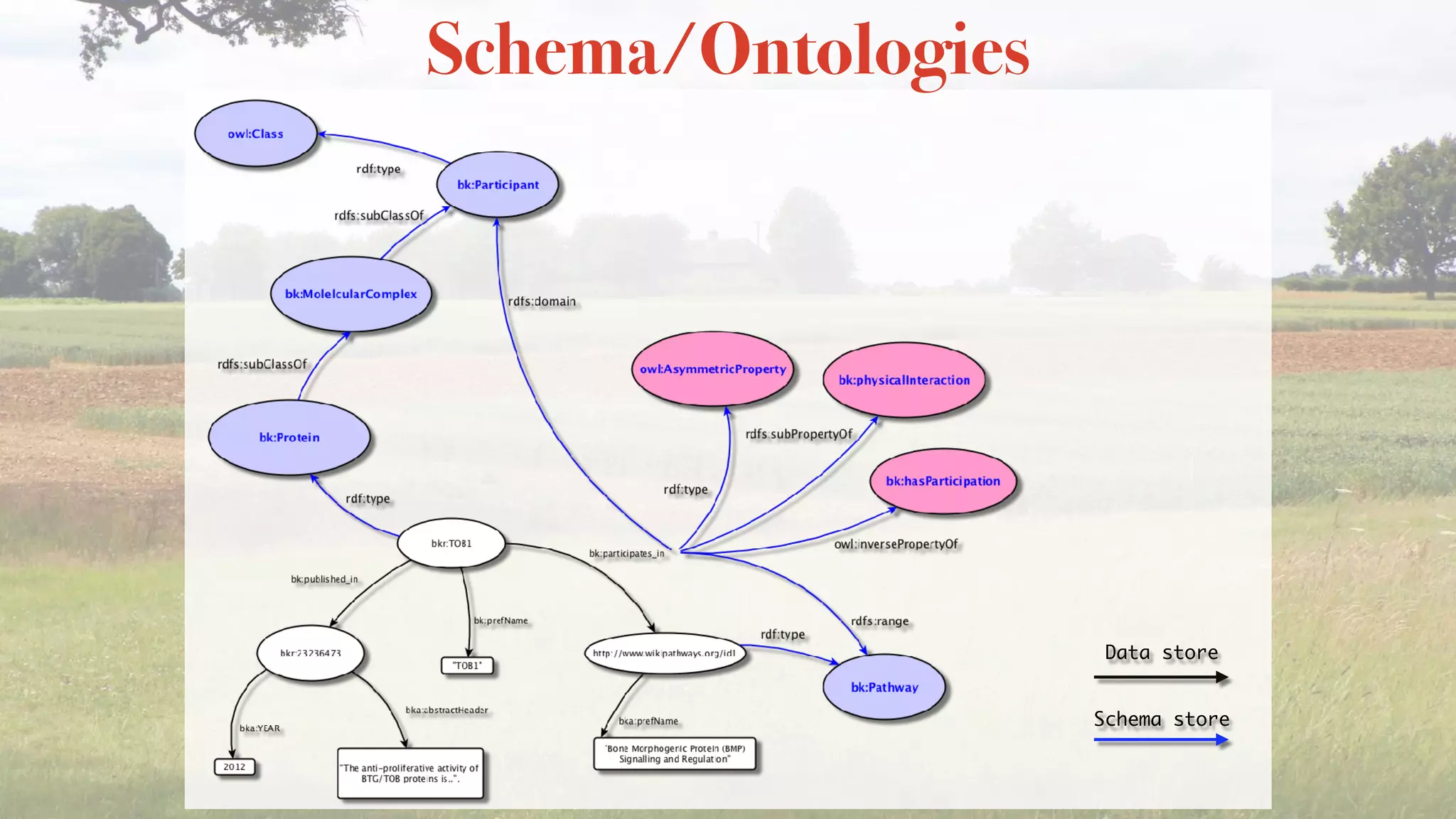 Schema/Ontologies
Data store
Schema store
 