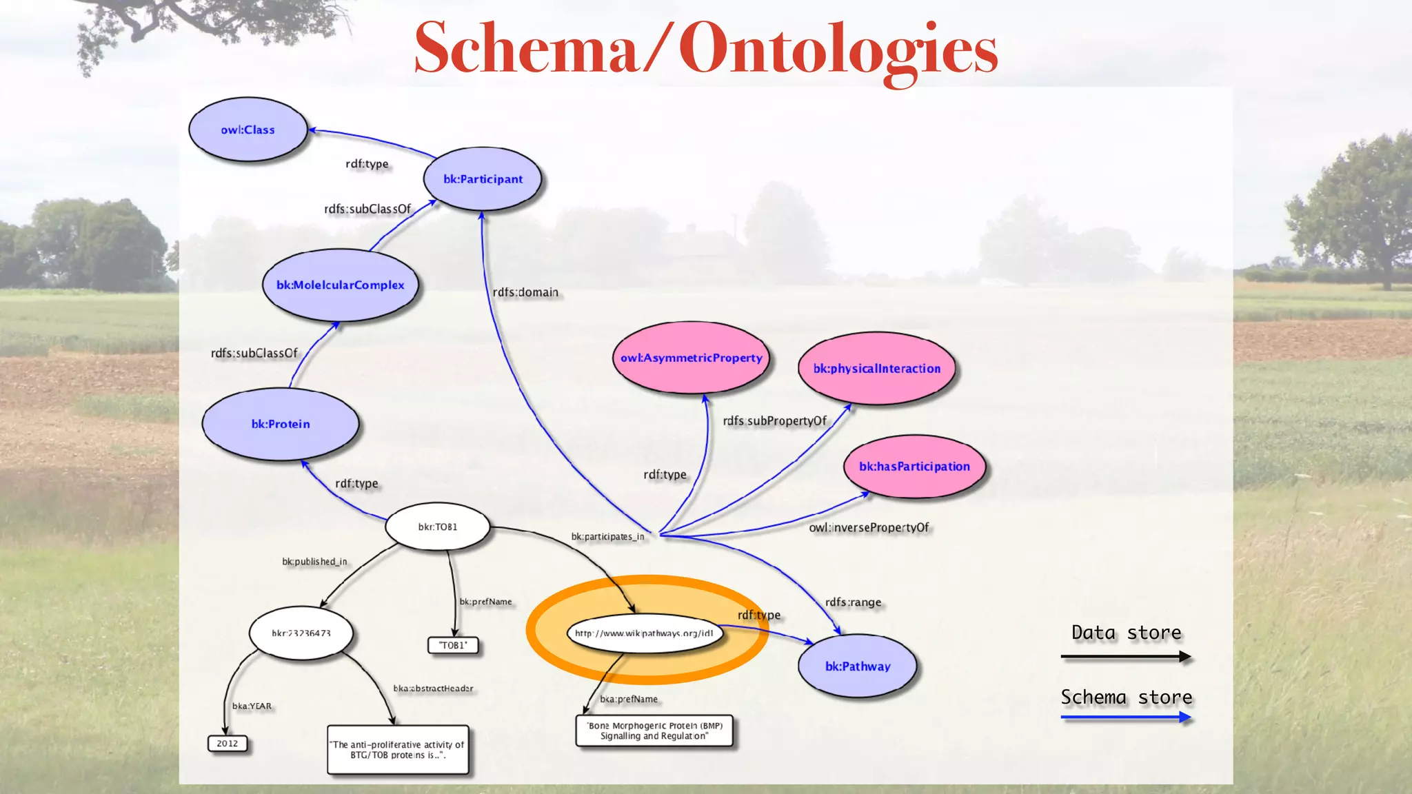 Schema/Ontologies
Data store
Schema store
 