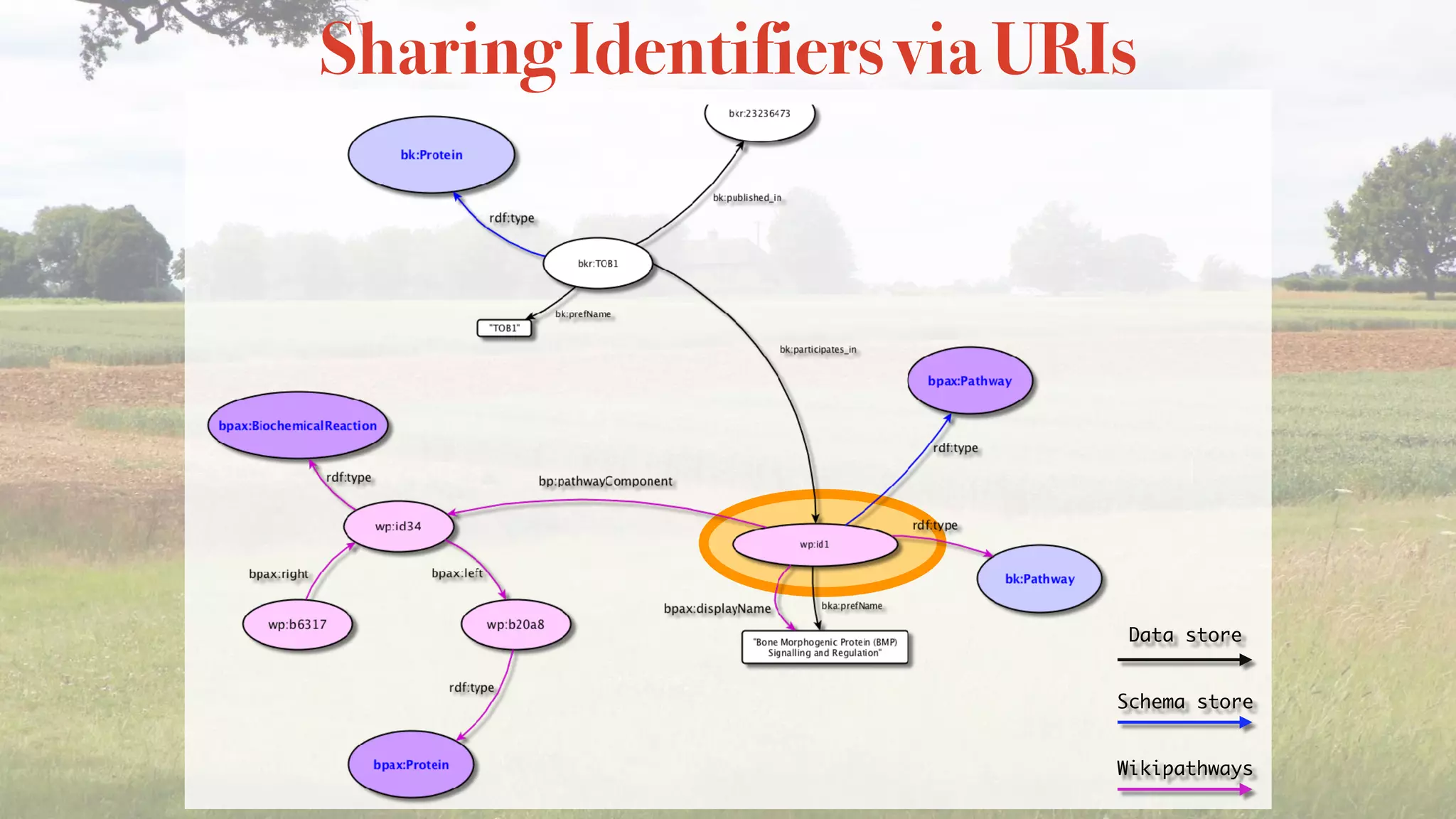 Sharing Identifiers via URIs
Data store
Schema store
Wikipathways
 