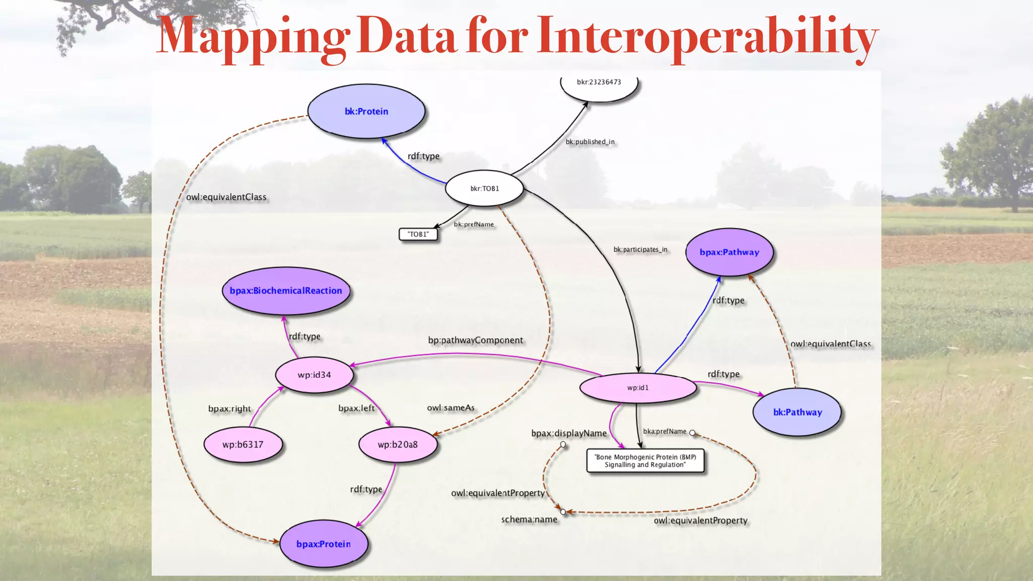 Mapping Data for Interoperability
 
