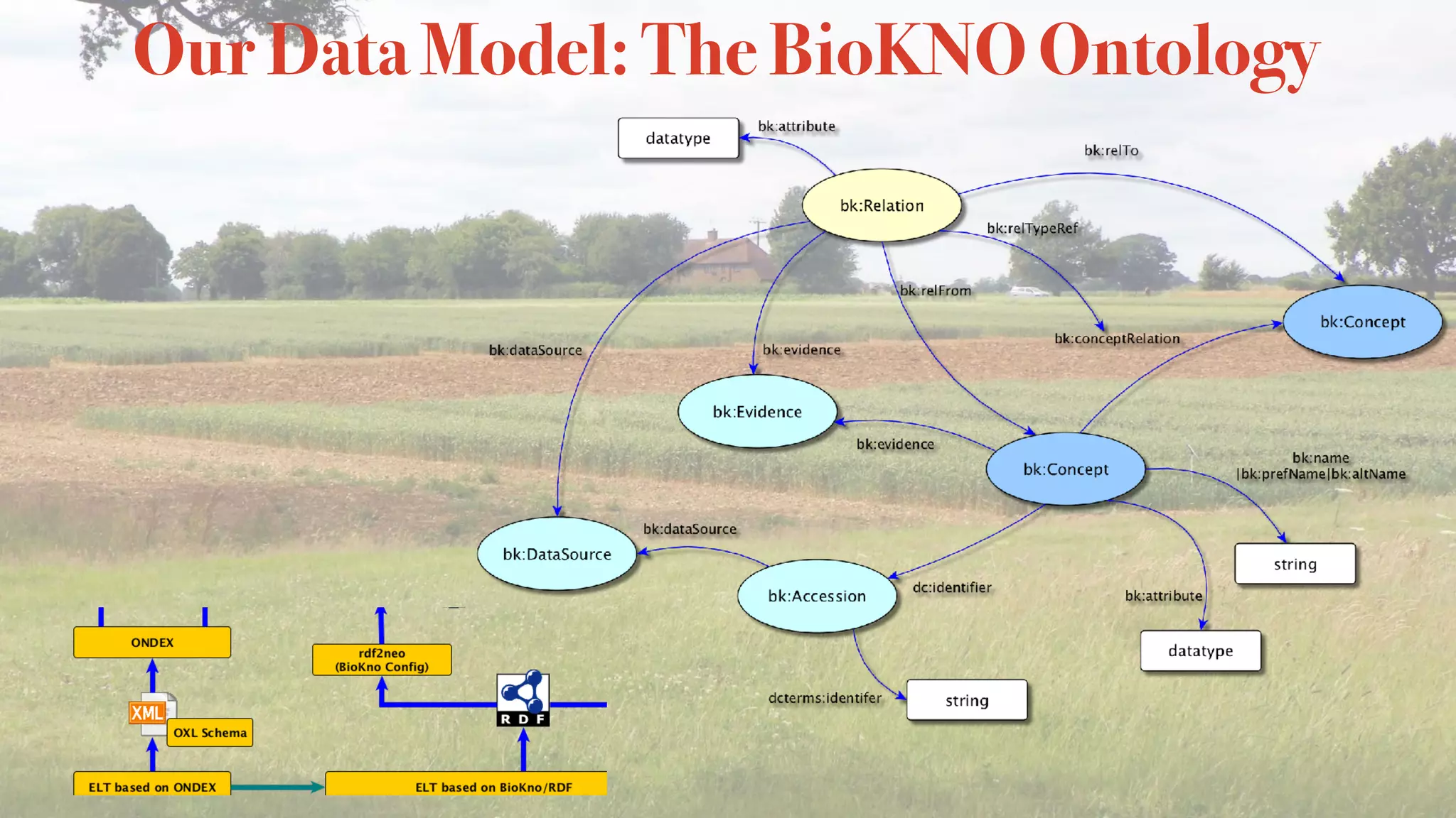 Our Data Model: The BioKNO Ontology
 