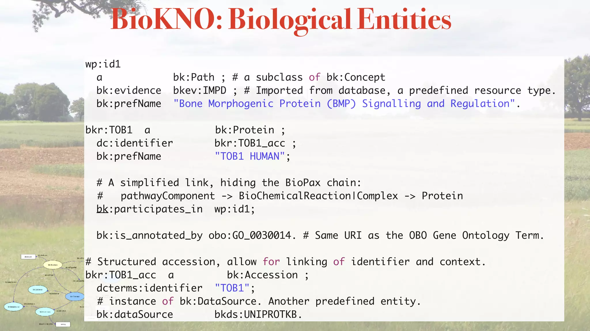 wp:id1
a bk:Path ; # a subclass of bk:Concept
bk:evidence bkev:IMPD ; # Imported from database, a predefined resource type.
bk:prefName "Bone Morphogenic Protein (BMP) Signalling and Regulation".
bkr:TOB1 a bk:Protein ;
dc:identifier bkr:TOB1_acc ;
bk:prefName "TOB1 HUMAN"; 
# A simplified link, hiding the BioPax chain:
# pathwayComponent -> BioChemicalReaction|Complex -> Protein
bk:participates_in wp:id1;
 
bk:is_annotated_by obo:GO_0030014. # Same URI as the OBO Gene Ontology Term.
# Structured accession, allow for linking of identifier and context.
bkr:TOB1_acc a bk:Accession ;
dcterms:identifier "TOB1";
# instance of bk:DataSource. Another predefined entity.
bk:dataSource bkds:UNIPROTKB.
BioKNO: Biological Entities
 