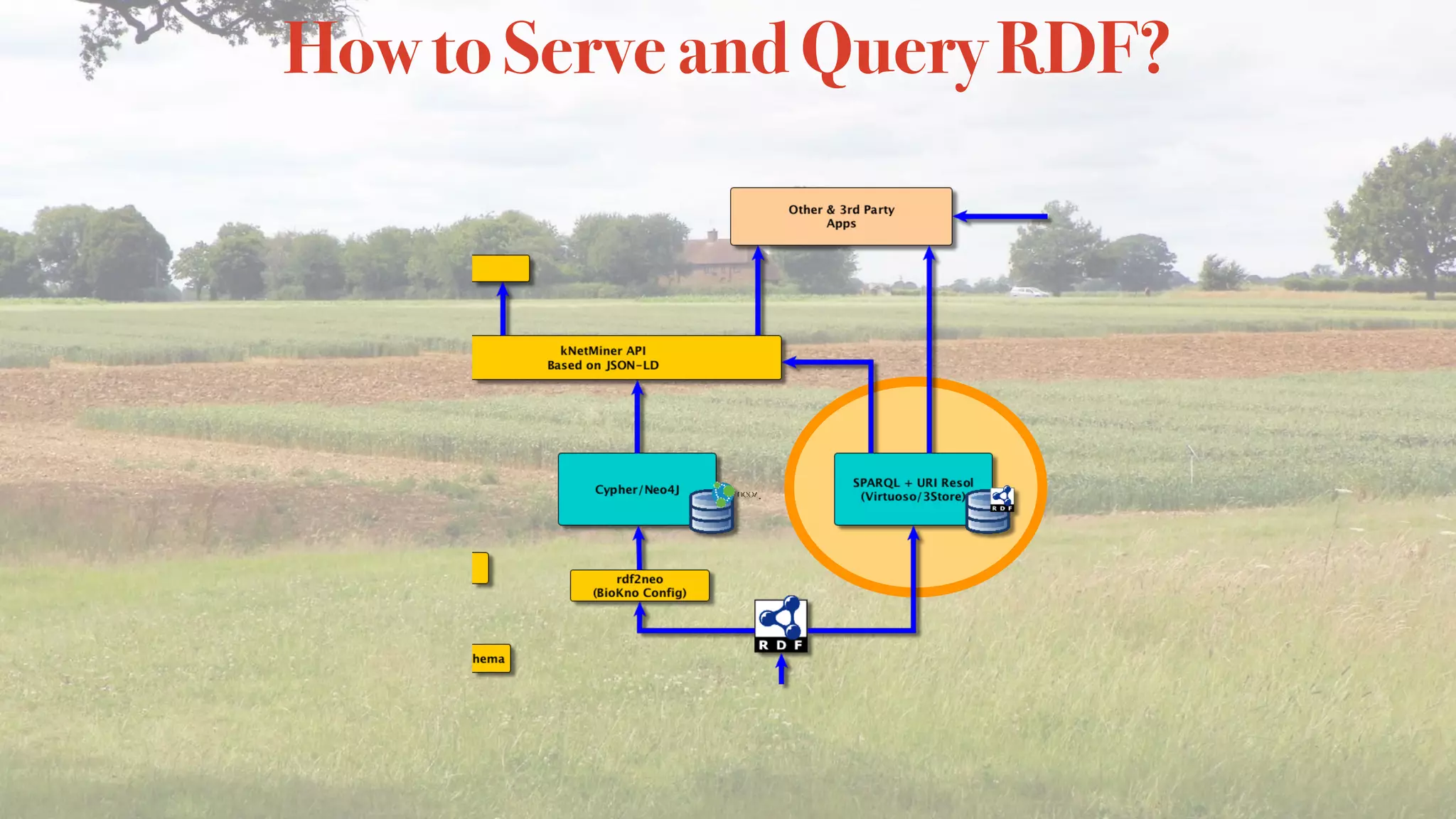 How to Serve and Query RDF?
 