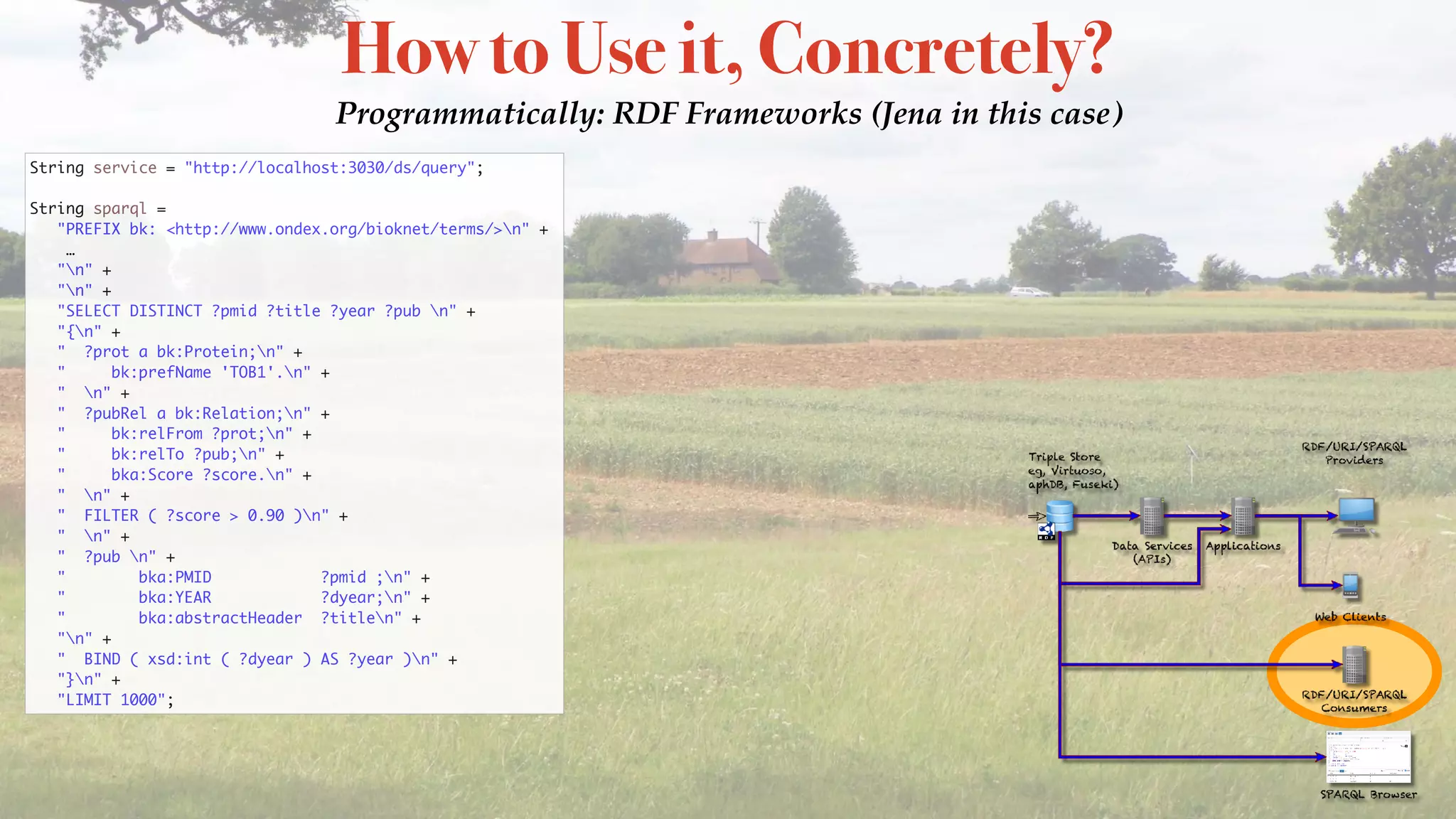 How to Use it, Concretely?
Programmatically: RDF Frameworks (Jena in this case)
String service = "http://localhost:3030/ds/query";
String sparql =
"PREFIX bk: <http://www.ondex.org/bioknet/terms/>n" +  
…
"n" +
"n" +
"SELECT DISTINCT ?pmid ?title ?year ?pub n" +
"{n" +
" ?prot a bk:Protein;n" +
" bk:prefName 'TOB1'.n" +
" n" +
" ?pubRel a bk:Relation;n" +
" bk:relFrom ?prot;n" +
" bk:relTo ?pub;n" +
" bka:Score ?score.n" +
" n" +
" FILTER ( ?score > 0.90 )n" +
" n" +
" ?pub n" +
" bka:PMID ?pmid ;n" +
" bka:YEAR ?dyear;n" +
" bka:abstractHeader ?titlen" +
"n" +
" BIND ( xsd:int ( ?dyear ) AS ?year )n" +
"}n" +
"LIMIT 1000";
 
