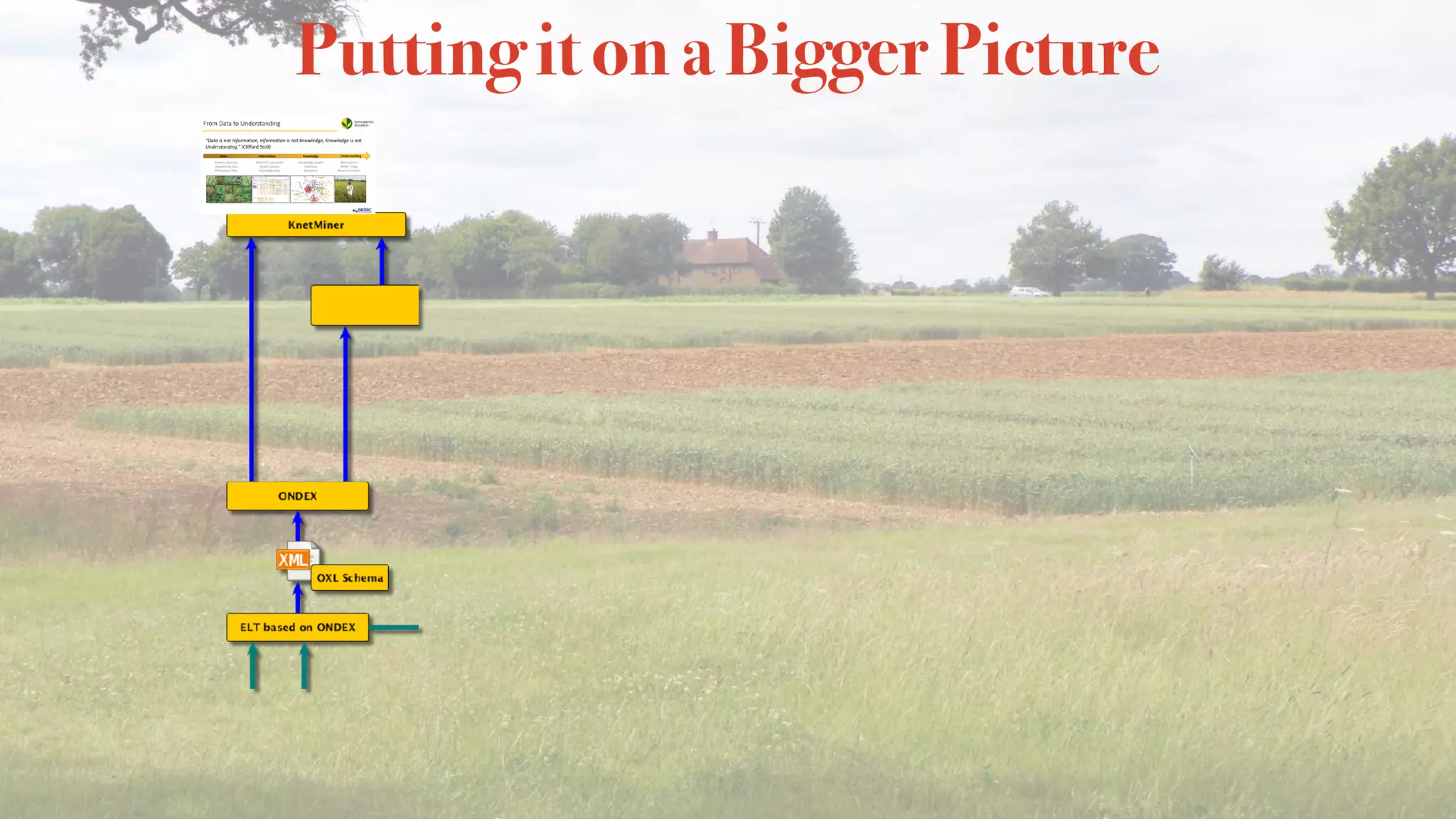 Putting it on a Bigger Picture
 