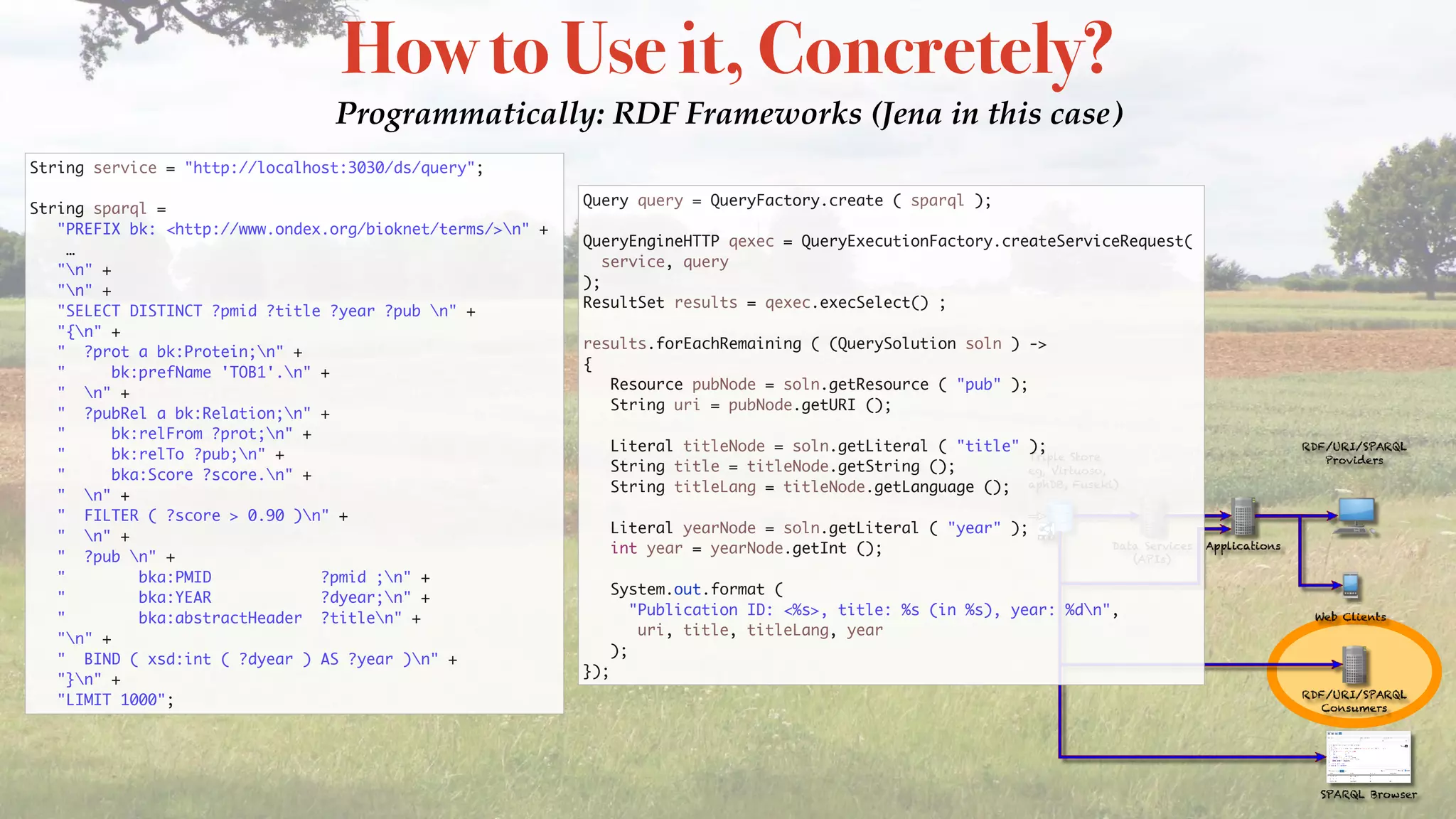 How to Use it, Concretely?
Programmatically: RDF Frameworks (Jena in this case)
String service = "http://localhost:3030/ds/query";
String sparql =
"PREFIX bk: <http://www.ondex.org/bioknet/terms/>n" +  
…
"n" +
"n" +
"SELECT DISTINCT ?pmid ?title ?year ?pub n" +
"{n" +
" ?prot a bk:Protein;n" +
" bk:prefName 'TOB1'.n" +
" n" +
" ?pubRel a bk:Relation;n" +
" bk:relFrom ?prot;n" +
" bk:relTo ?pub;n" +
" bka:Score ?score.n" +
" n" +
" FILTER ( ?score > 0.90 )n" +
" n" +
" ?pub n" +
" bka:PMID ?pmid ;n" +
" bka:YEAR ?dyear;n" +
" bka:abstractHeader ?titlen" +
"n" +
" BIND ( xsd:int ( ?dyear ) AS ?year )n" +
"}n" +
"LIMIT 1000";
Query query = QueryFactory.create ( sparql );
QueryEngineHTTP qexec = QueryExecutionFactory.createServiceRequest(
service, query
);
ResultSet results = qexec.execSelect() ;
results.forEachRemaining ( (QuerySolution soln ) ->
{
Resource pubNode = soln.getResource ( "pub" );
String uri = pubNode.getURI ();
Literal titleNode = soln.getLiteral ( "title" );
String title = titleNode.getString ();
String titleLang = titleNode.getLanguage ();
Literal yearNode = soln.getLiteral ( "year" );
int year = yearNode.getInt ();
System.out.format (
"Publication ID: <%s>, title: %s (in %s), year: %dn",
uri, title, titleLang, year
);
});
 