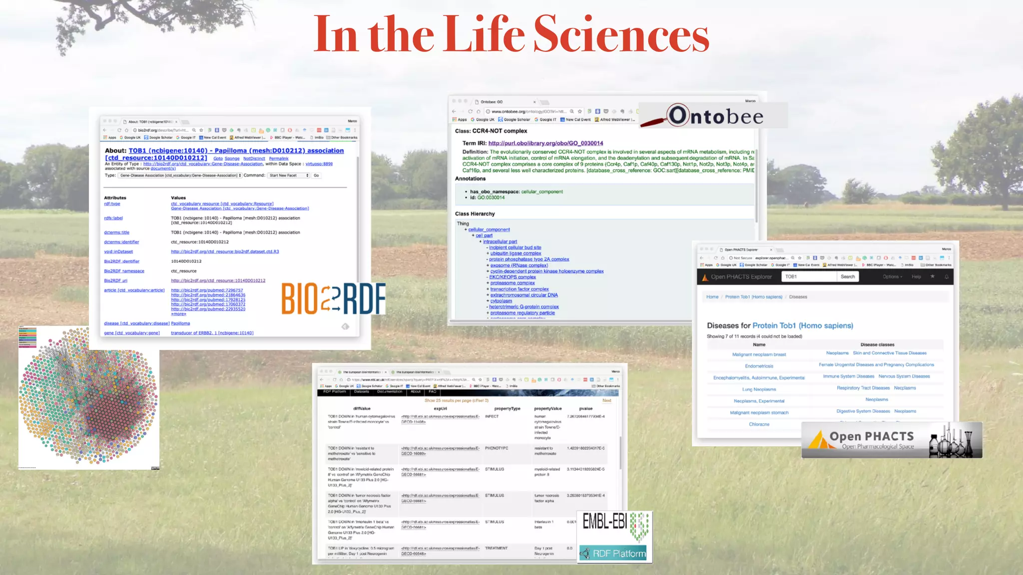 In the Life Sciences
 