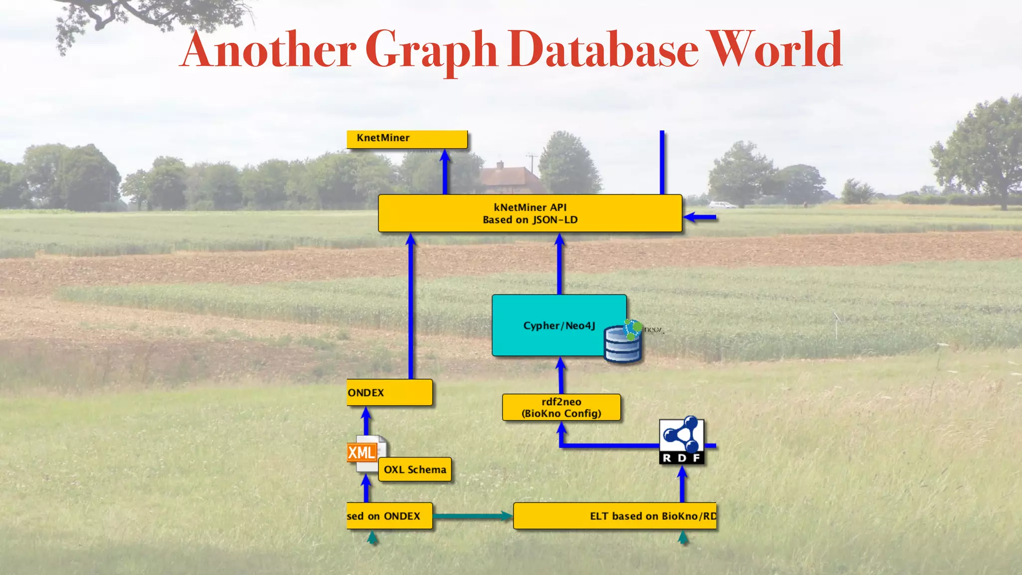 Another Graph Database World
 