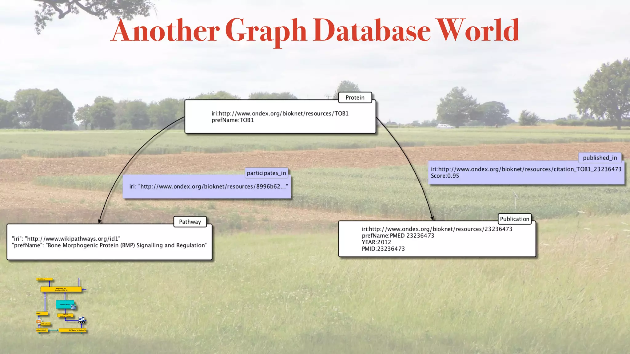 Another Graph Database World
 