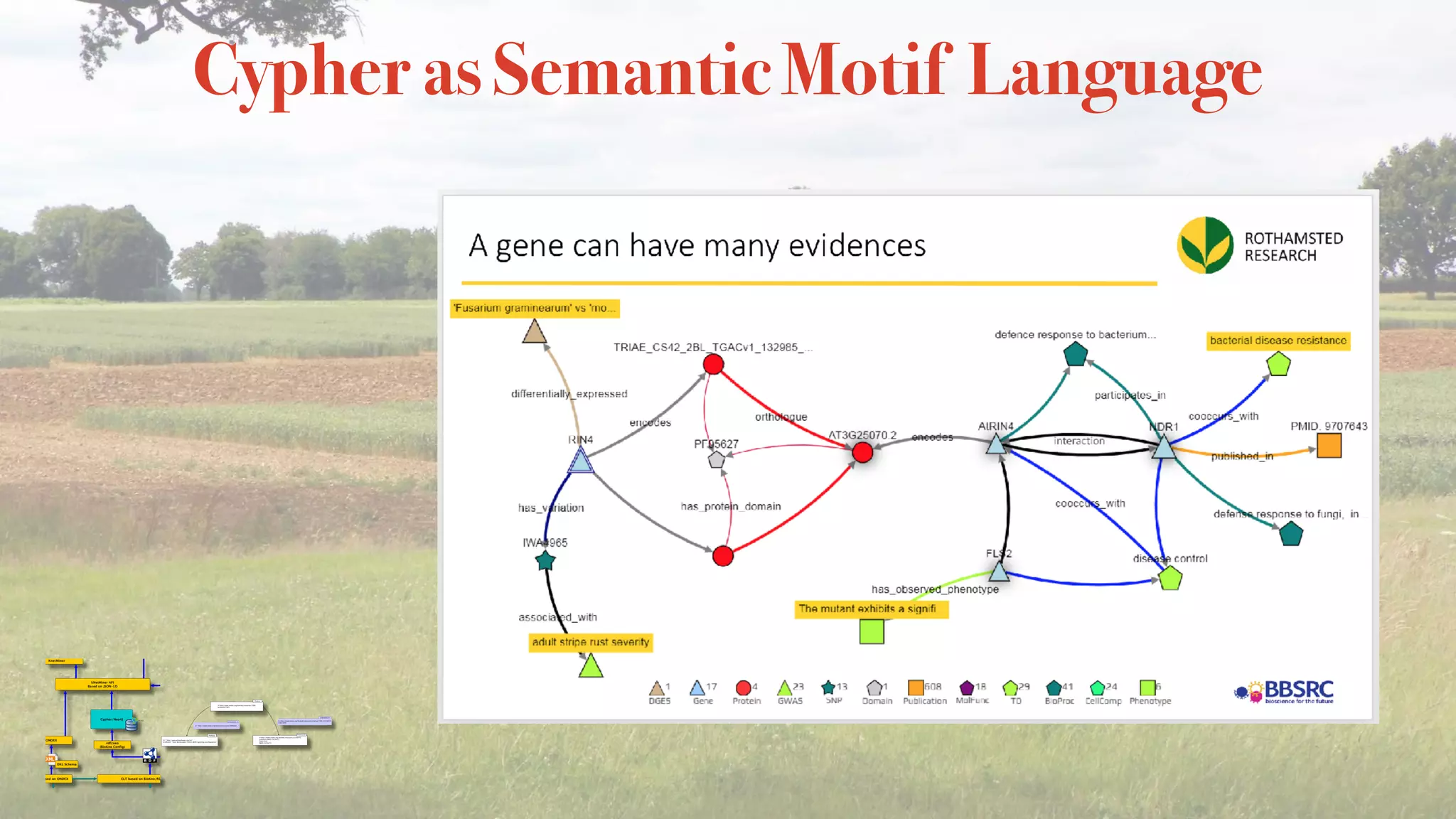 Cypher as Semantic Motif Language
 