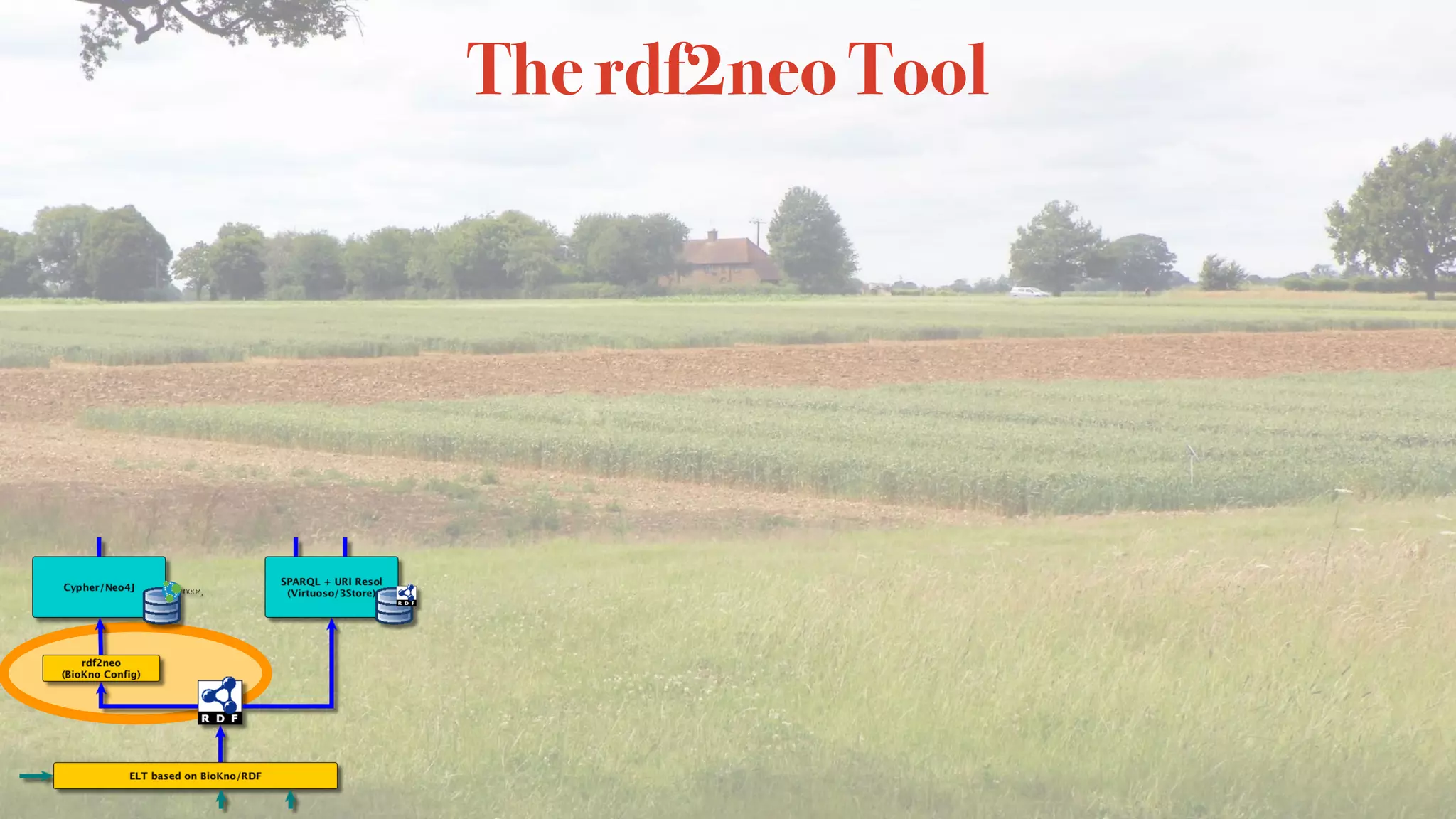 The rdf2neo Tool
 