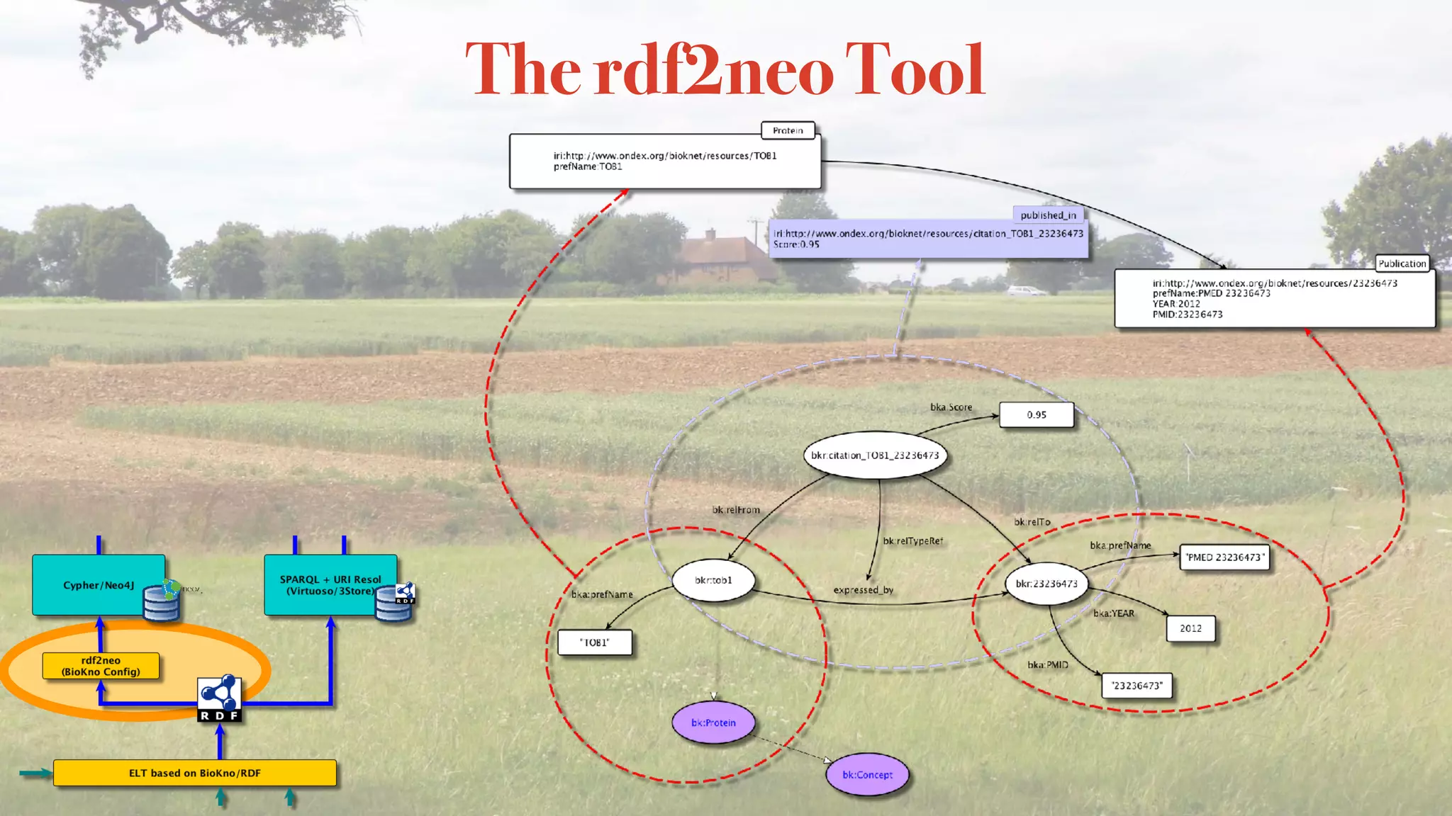The rdf2neo Tool
 