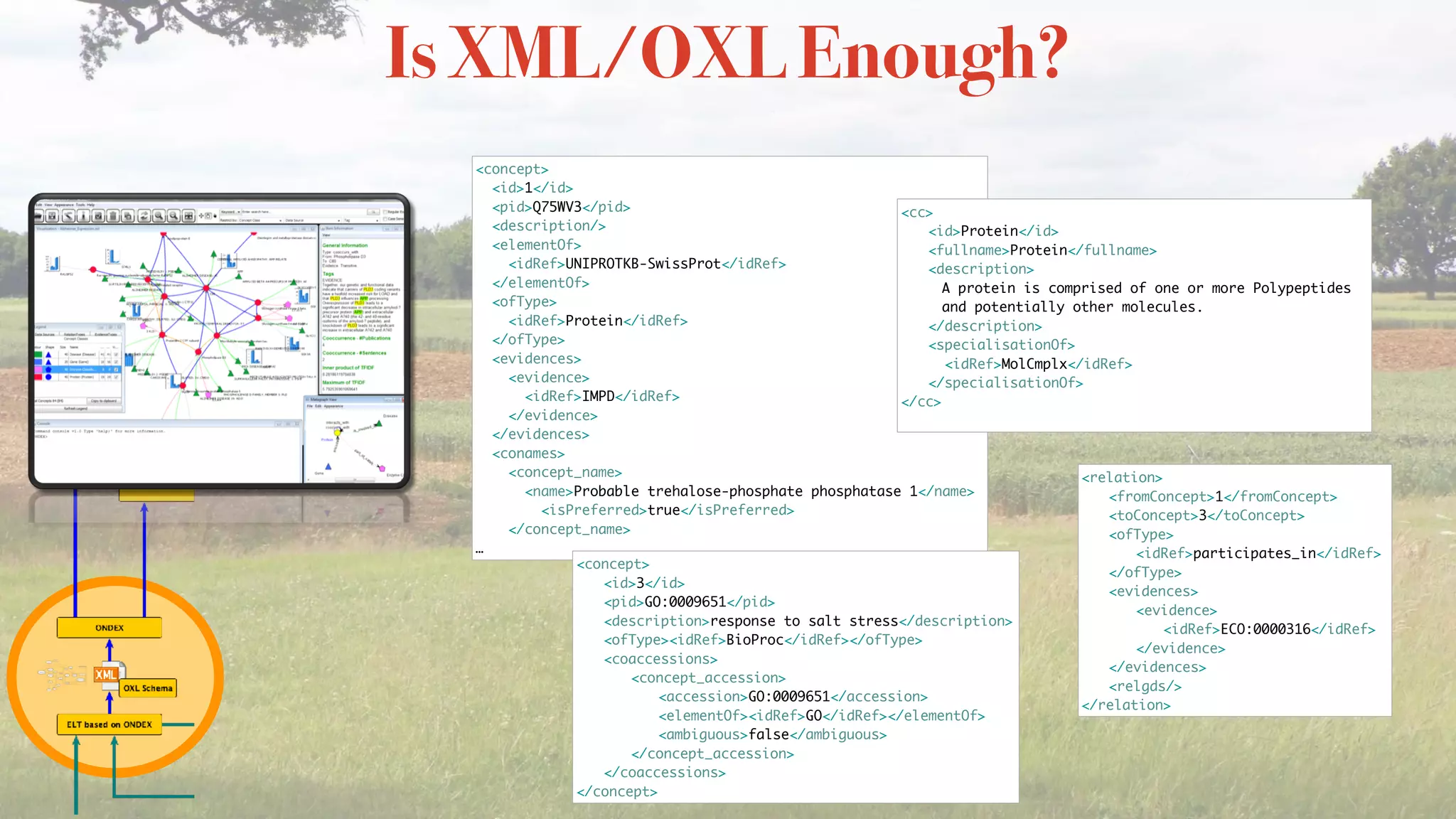 <concept>
<id>1</id>
<pid>Q75WV3</pid>
<description/>
<elementOf>
<idRef>UNIPROTKB-SwissProt</idRef>
</elementOf>
<ofType>
<idRef>Protein</idRef>
</ofType>
<evidences>
<evidence>
<idRef>IMPD</idRef>
</evidence>
</evidences>
<conames>
<concept_name>
<name>Probable trehalose-phosphate phosphatase 1</name>
<isPreferred>true</isPreferred>
</concept_name>
…
<cc>
<id>Protein</id>
<fullname>Protein</fullname>
<description>
A protein is comprised of one or more Polypeptides
and potentially other molecules.
</description>
<specialisationOf>
<idRef>MolCmplx</idRef>
</specialisationOf>
</cc>
<relation>
<fromConcept>1</fromConcept>
<toConcept>3</toConcept>
<ofType>
<idRef>participates_in</idRef>
</ofType>
<evidences>
<evidence>
<idRef>ECO:0000316</idRef>
</evidence>
</evidences>
<relgds/>
</relation>
<concept>
<id>3</id>
<pid>GO:0009651</pid>
<description>response to salt stress</description>
<ofType><idRef>BioProc</idRef></ofType>
<coaccessions>
<concept_accession>
<accession>GO:0009651</accession>
<elementOf><idRef>GO</idRef></elementOf>
<ambiguous>false</ambiguous>
</concept_accession>
</coaccessions>
</concept>
Is XML/OXL Enough?
 