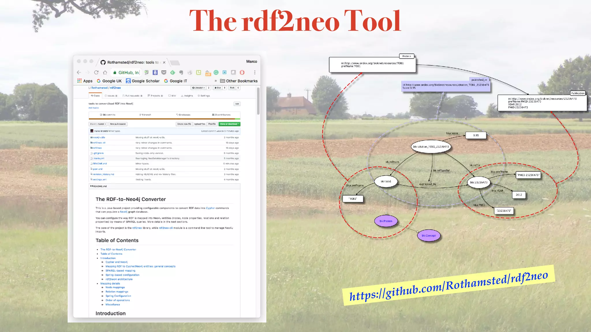 The rdf2neo Tool
https://github.com/Rothamsted/rdf2neo
 